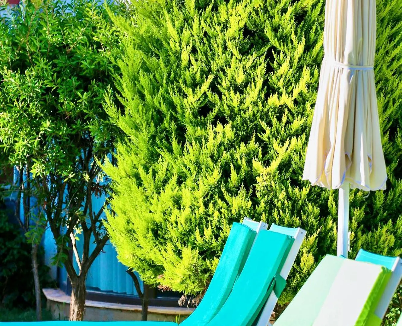 Tropical Deluxe Hotel Φετιγιέ